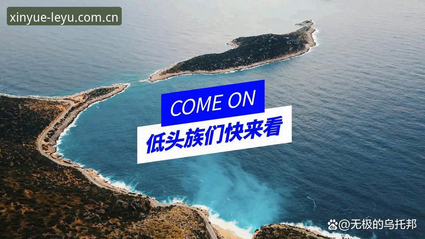 心悦可鉴PC端英文版功能详解 心悦可鉴PC端英文版功能详解:从安装到使用的实操教程